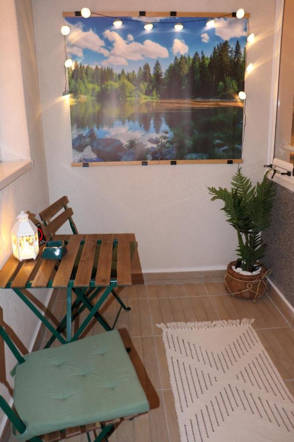 Apartman Mila 21 贝尔格莱德 外观 照片