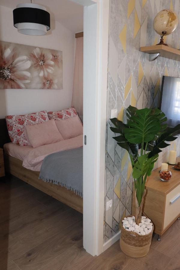 Apartman Mila 21 贝尔格莱德 外观 照片